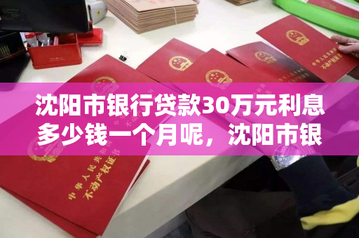 沈阳市银行贷款30万元利息多少钱一个月呢，沈阳市银行贷款30万元利息多少钱一个月呢