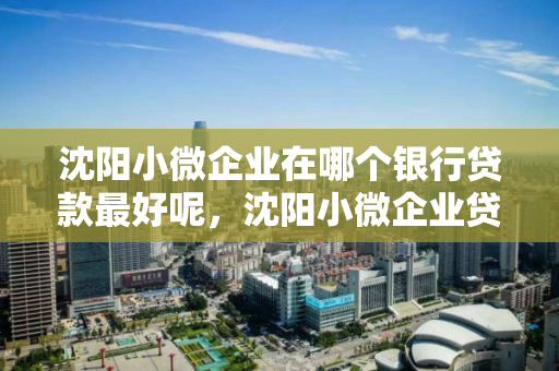 沈阳小微企业在哪个银行贷款最好呢，沈阳小微企业贷款优惠政策