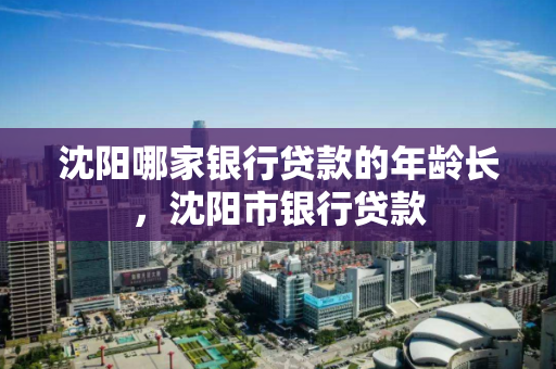 沈阳哪家银行贷款的年龄长，沈阳市银行贷款