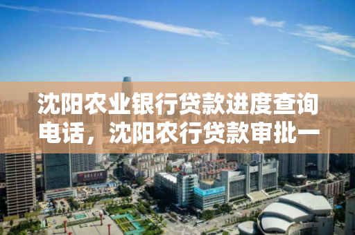 沈阳农业银行贷款进度查询电话，沈阳农行贷款审批一般多久
