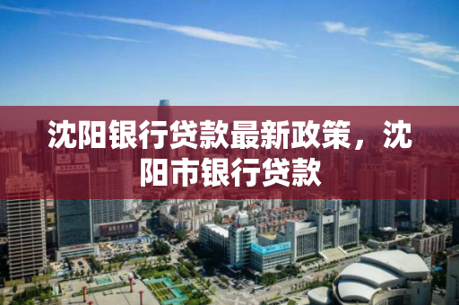 沈阳银行贷款最新政策，沈阳市银行贷款