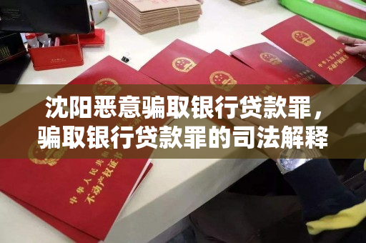 沈阳恶意骗取银行贷款罪，骗取银行贷款罪的司法解释