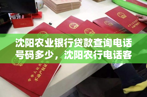 沈阳农业银行贷款查询电话号码多少，沈阳农行电话客服电话