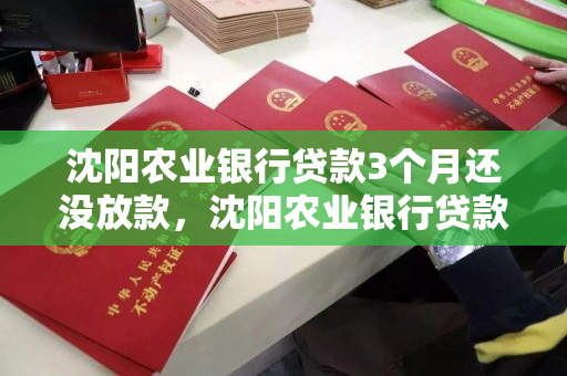 沈阳农业银行贷款3个月还没放款，沈阳农业银行贷款3个月还没放款怎么办