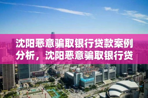 沈阳恶意骗取银行贷款案例分析，沈阳恶意骗取银行贷款案例分析