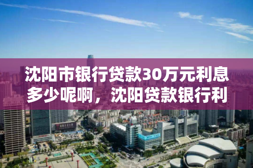 沈阳市银行贷款30万元利息多少呢啊，沈阳贷款银行利率
