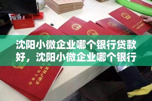 沈阳小微企业哪个银行贷款好，沈阳小微企业哪个银行贷款好一点
