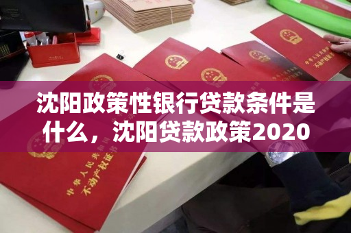 沈阳政策性银行贷款条件是什么，沈阳贷款政策2020
