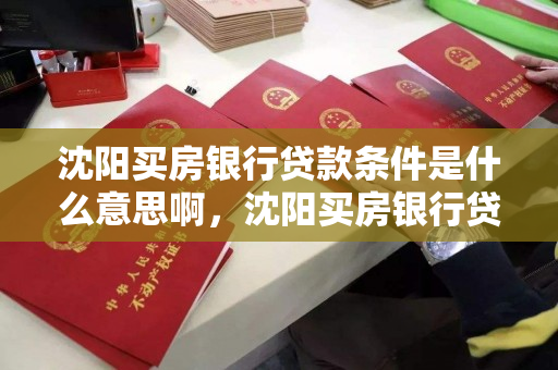 沈阳买房银行贷款条件是什么意思啊，沈阳买房银行贷款条件是什么意思啊多少钱