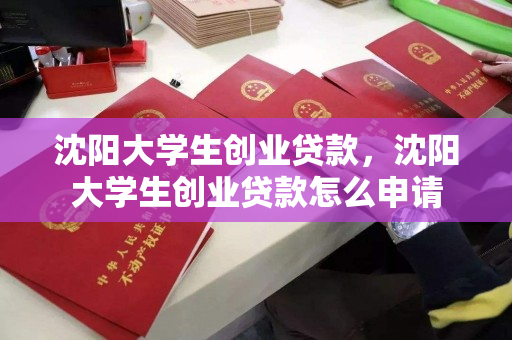 沈阳大学生创业贷款,沈阳大学生创业贷款怎么申请 沈阳大学生创业贷款,沈阳大学生创业贷款怎么申请