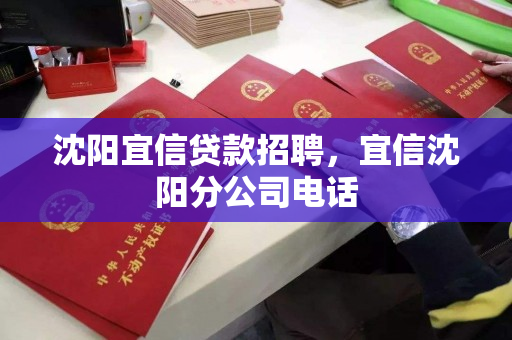 沈阳宜信贷款招聘，宜信沈阳分公司电话