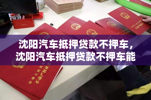 沈阳汽车抵押贷款不押车，沈阳汽车抵押贷款不押车能过户吗