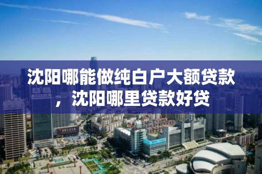 沈阳哪能做纯白户大额贷款，沈阳哪里贷款好贷