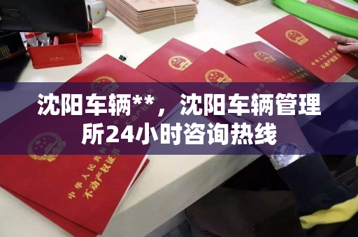 沈阳车辆**，沈阳车辆管理所24小时咨询热线