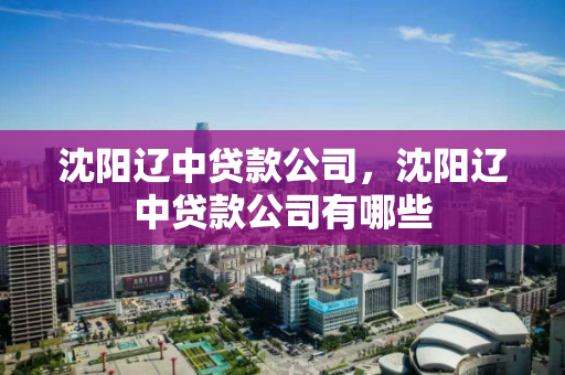 沈阳辽中贷款公司，沈阳辽中贷款公司有哪些