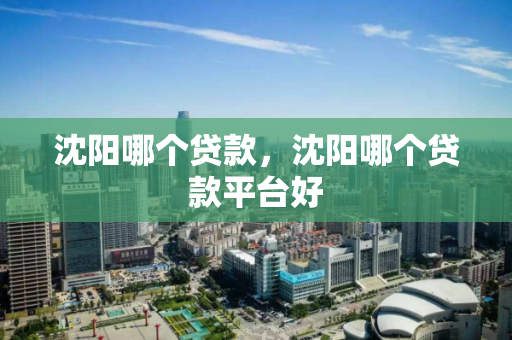沈阳哪个贷款，沈阳哪个贷款平台好