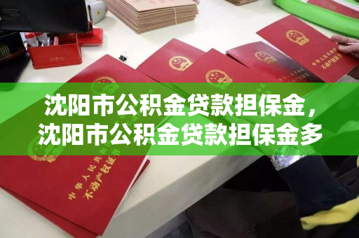 沈阳市公积金贷款担保金，沈阳市公积金贷款担保金多少