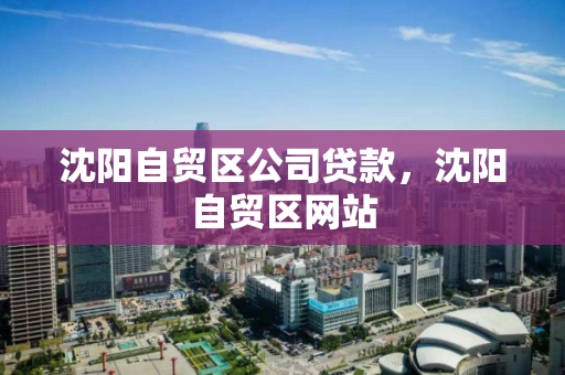 沈阳自贸区公司贷款，沈阳自贸区网站