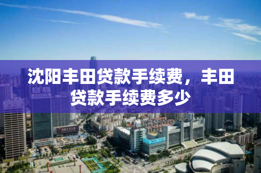 沈阳丰田贷款手续费，丰田贷款手续费多少