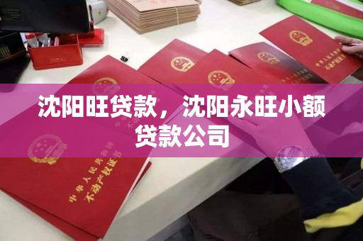 沈阳旺贷款，沈阳永旺小额贷款公司