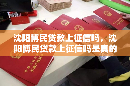 沈阳博民贷款上征信吗,沈阳博民贷款上征信吗是真的吗 沈阳博民贷款上征信吗,沈阳博民贷款上征信吗是真的吗