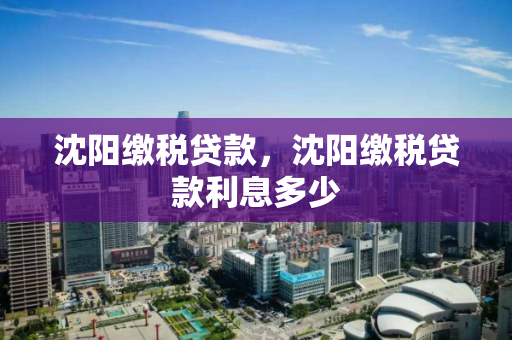 沈阳缴税贷款,沈阳缴税贷款利息多少 沈阳缴税贷款,沈阳缴税贷款利息多少