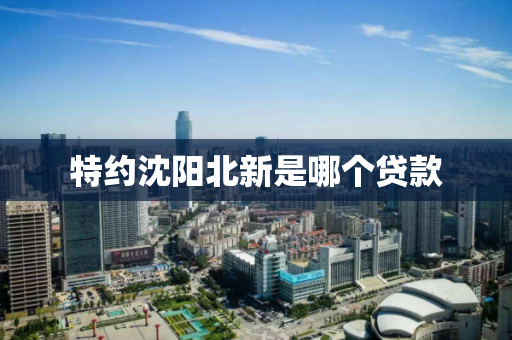 特约沈阳北新是哪个贷款