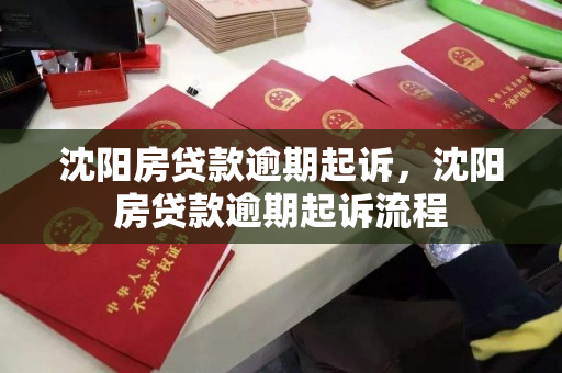 沈阳房贷款逾期起诉，沈阳房贷款逾期起诉流程