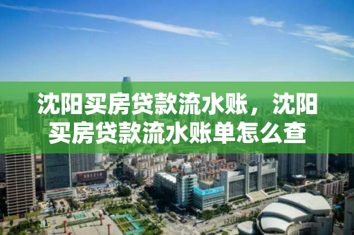 沈阳买房贷款流水账,沈阳买房贷款流水账单怎么查 沈阳买房贷款流水账,沈阳买房贷款流水账单怎么查