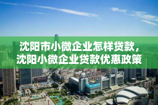 沈阳市小微企业怎样贷款,沈阳小微企业贷款优惠政策 沈阳市小微企业怎样贷款,沈阳小微企业贷款优惠政策