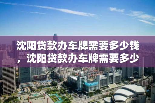 沈阳贷款办车牌需要多少钱，沈阳贷款办车牌需要多少钱一个