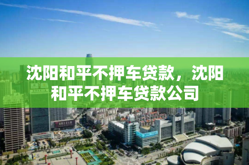 沈阳和平不押车贷款，沈阳和平不押车贷款公司
