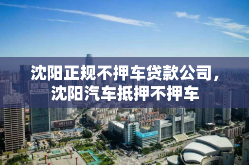 沈阳正规不押车贷款公司，沈阳汽车抵押不押车