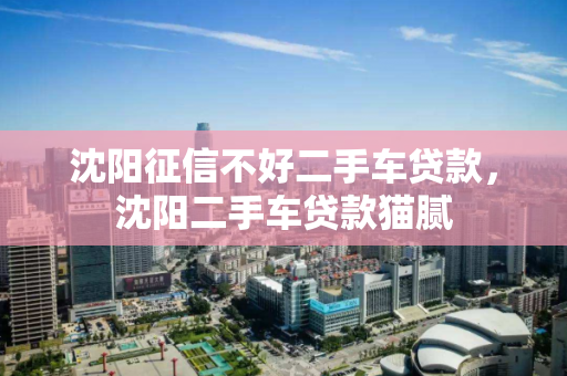 沈阳征信不好二手车贷款，沈阳二手车贷款猫腻