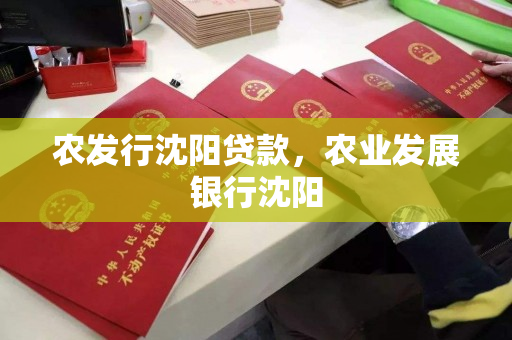 农发行沈阳贷款，农业发展银行沈阳