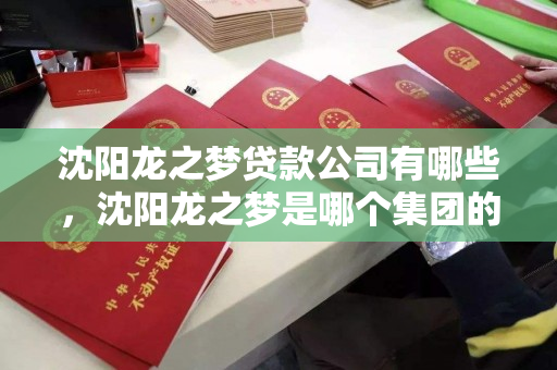 沈阳龙之梦贷款公司有哪些,沈阳龙之梦是哪个集团的 沈阳龙之梦贷款公司有哪些,沈阳龙之梦是哪个集团的