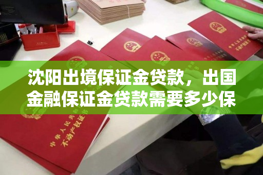 沈阳出境保证金贷款，出国金融保证金贷款需要多少保证金