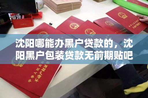 沈阳哪能办黑户贷款的，沈阳黑户包装贷款无前期贴吧，沈阳黑户贷款无前期服务指南