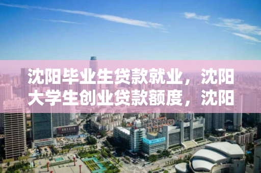 沈阳毕业生贷款就业，沈阳大学生创业贷款额度，沈阳大学生创业贷款，毕业生就业与贷款额度解析