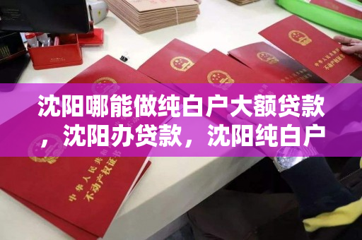 沈阳哪能做纯白户大额贷款，沈阳办贷款，沈阳纯白户大额贷款办理指南