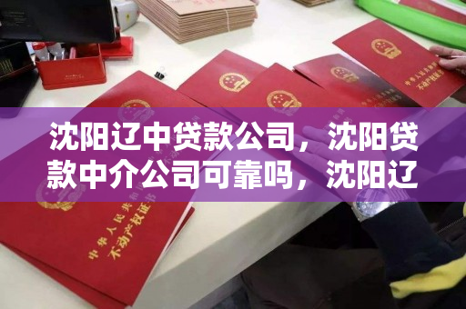 沈阳辽中贷款公司,沈阳贷款中介公司可靠吗,沈阳辽中贷款中介公司可信度分析 沈阳辽中贷款公司,沈阳贷款中介公司可靠吗,沈阳辽中贷款中介公司可信度分析