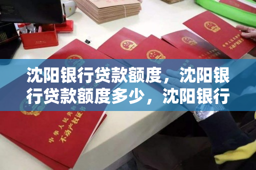 沈阳银行贷款额度，沈阳银行贷款额度多少，沈阳银行贷款额度全解析