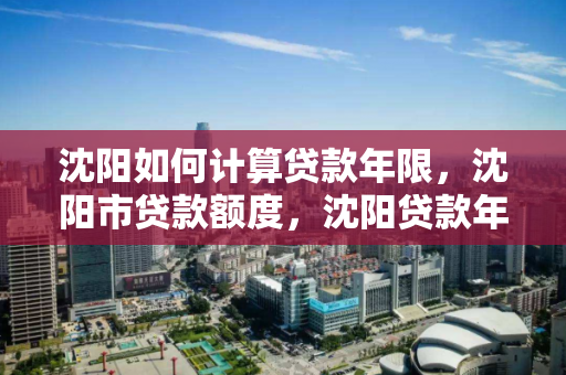 沈阳如何计算贷款年限，沈阳市贷款额度，沈阳贷款年限与额度计算指南