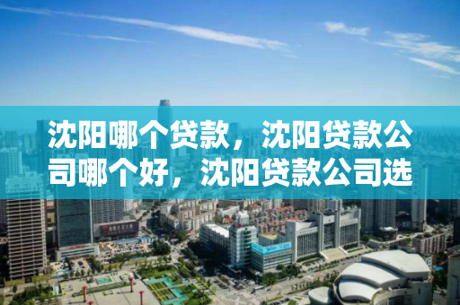 沈阳哪个贷款，沈阳贷款公司哪个好，沈阳贷款公司选择指南，哪个更适合您？