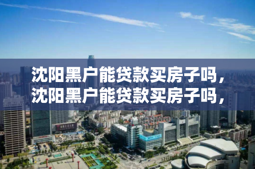 沈阳黑户能贷款买房子吗，沈阳黑户能贷款买房子吗，沈阳黑户购房贷款可能性探讨