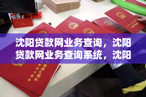 沈阳贷款网业务查询，沈阳贷款网业务查询系统，沈阳贷款网业务查询系统全面指南