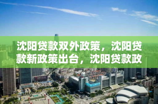 沈阳贷款双外政策，沈阳贷款新政策出台，沈阳贷款政策更新，双外新规定解读