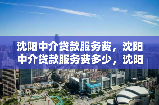 沈阳中介贷款服务费,沈阳中介贷款服务费多少,沈阳中介贷款服务费用解析 沈阳中介贷款服务费,沈阳中介贷款服务费多少,沈阳中介贷款服务费用解析