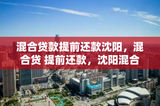 混合贷款提前还款沈阳,混合贷 提前还款,沈阳混合贷款提前还款指南 混合贷款提前还款沈阳,混合贷 提前还款,沈阳混合贷款提前还款指南