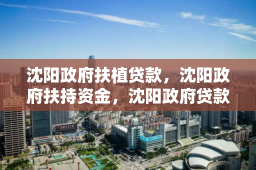 沈阳政府扶植贷款，沈阳政府扶持资金，沈阳政府贷款与资金扶持政策解读